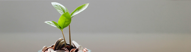 MoneyGrow