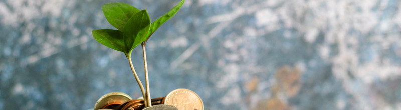 MoneyPlant