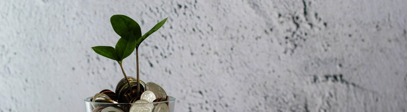 NewMoneyPlant